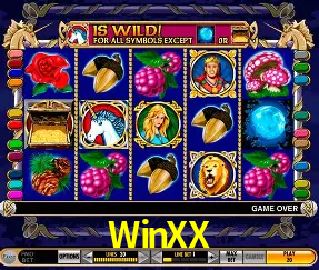 Design Responsivo WinXX